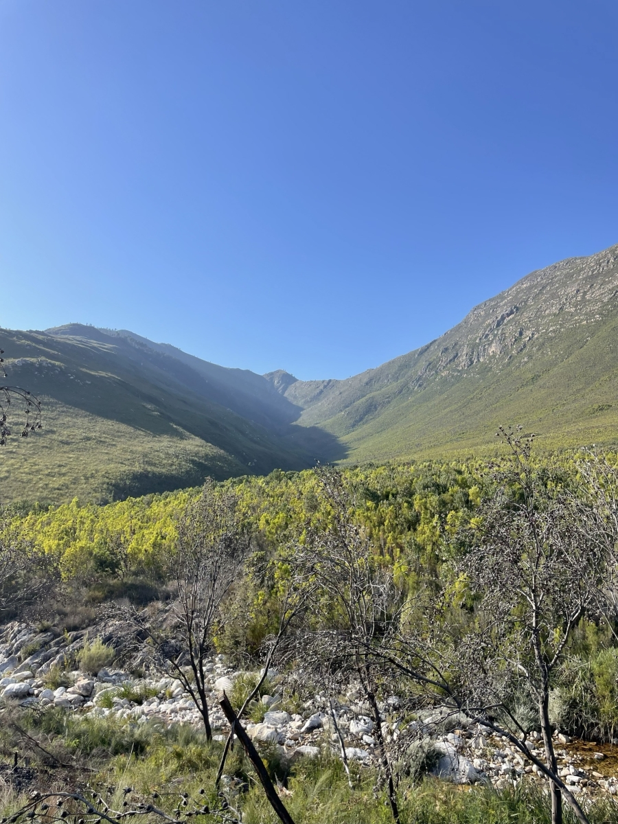 0 Bedroom Property for Sale in Joubertina Eastern Cape